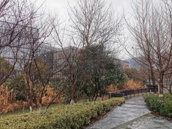 -南京市儿童医院(河西院区)