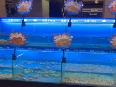 -太湖饭店玉兰厅(自助餐厅)