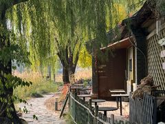 -三忘湖 SWANSEEN(柳荫公园店)