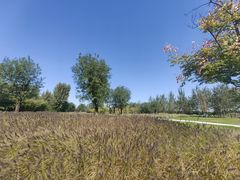 -汉长安城未央宫国家考古遗址公园