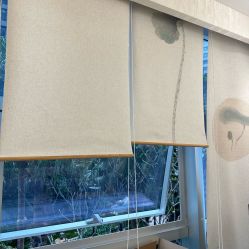 -初心はつ こころ日式美甲美睫沙龙