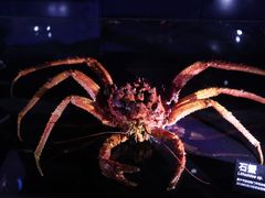 -同济大学四平路校区深海探索馆