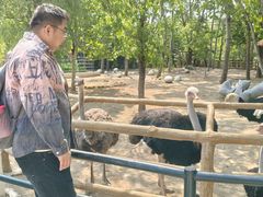 -大连森林动物园