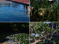 -星巴克(深圳前海企业公馆店)