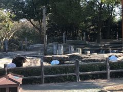 -常州淹城野生动物世界