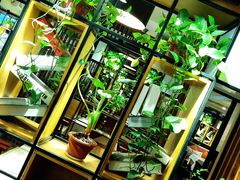 -意卡菲·欢乐聚会餐厅(华侨店)