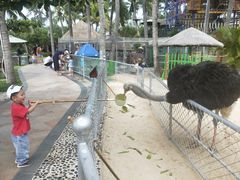 -三亚亚龙湾天域度假酒店