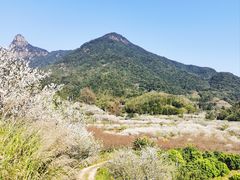 -广州市流溪河国家森林公园