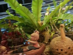 -自然餐厅(Phuket)