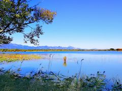 -野鸭湖国家湿地公园