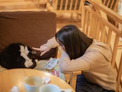 -猫的天空之城概念书店(杭州南宋御街店)