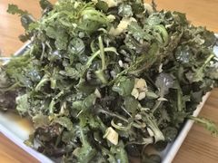 -水库活鱼馆(于桥水库店)