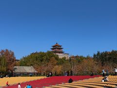 -莲花池公园