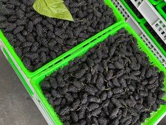 -西郊国际农产品交易中心
