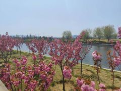 -羊亭河湿地公园