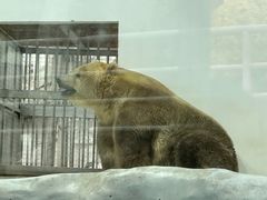 -海合安成都极地海洋公园