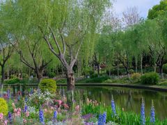 -上海鲜花港