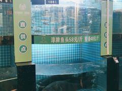 -千岛湖小鱼儿·淳安匠心农家菜