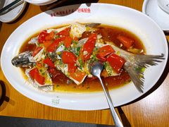 -丹江渔村(望京店)