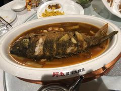 -阿五黄河大鲤鱼(英协路店)
