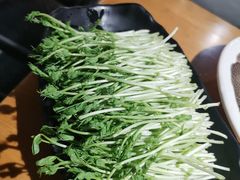 -洪氏嗨捞·广东猪肚鸡·椰子鸡火锅(西咸万象城店)