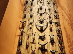 -1868 Café(上海自然博物馆店)