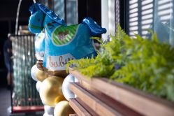 -派对猴生日派对策划(浦东店)