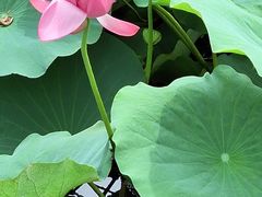 -羊亭河湿地公园