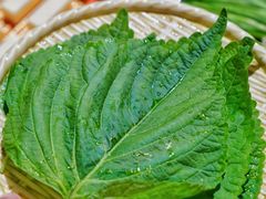 苏子叶-香猪坊韩国烤肉专属门店(魏公村店)