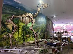 -陕西自然博物馆