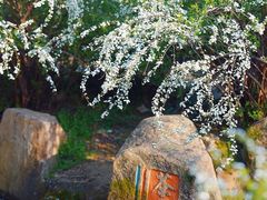 -中国茶叶博物馆(双峰馆区)