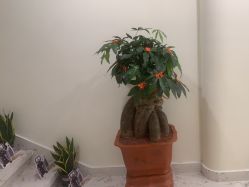 -海涛医疗美容·面部抗衰·注射美鼻