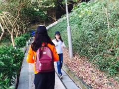 -大澳渔村及棚屋
