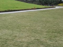 -秀丽东方