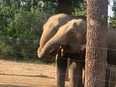 -清迈夜间动物园