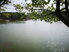 -上海杨姆庄园