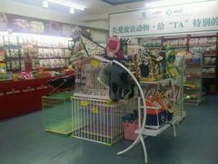 -瑞派宠物医院·24小时骨科·心脏·核磁(哈尔滨南岗店)