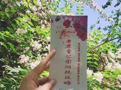 -老君堂公园