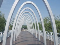 -大兴滨河森林公园