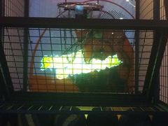 -大玩家(济宁太白路万达店)