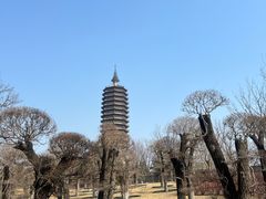 -西海子公园