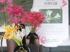 -杭州植物园