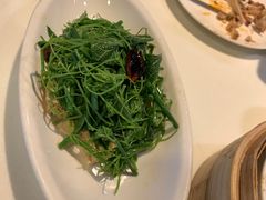 -金鼎轩(亚运村店)