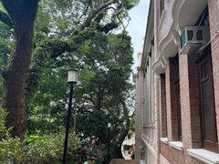 -香港大学