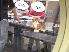 -学知乐教育·幼小衔接·小学科辅导(浦东外高桥森兰中心)