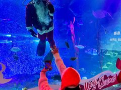 -沈阳海洋探索中心