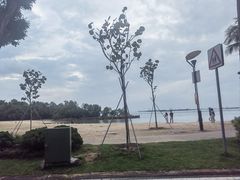 -巴拉湾海滩