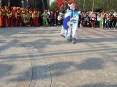 -合肥滨湖国家森林公园