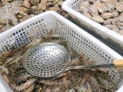 -一方渔歌蒸汽海鲜自助(文化路万达广场店)