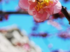 -北京明城墙遗址公园